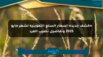 «كشف جديد» أسعار السلع التموينية لشهر مايو 2025 وتفاصيل نصيب الفرد